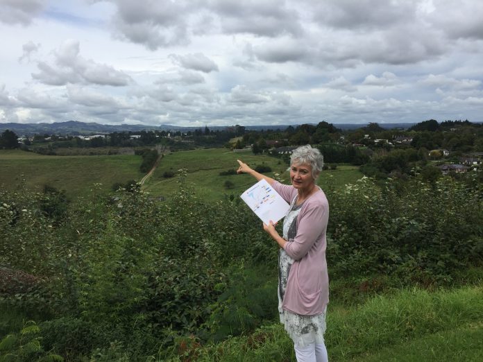 Photograph of a woman overlooking Council owned Smiths Farm