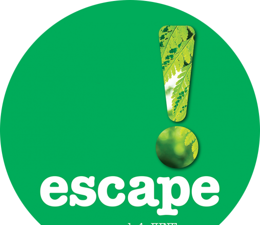 logo for Creative escape a green circle with a lighter green exclamation mark on it with the word escape written beneath in white letters
