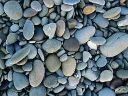 Beach Rocks ca. 1980s-1990s Olympic National Park, Washington, USA