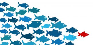 picture of a school of blue fish following a red fish