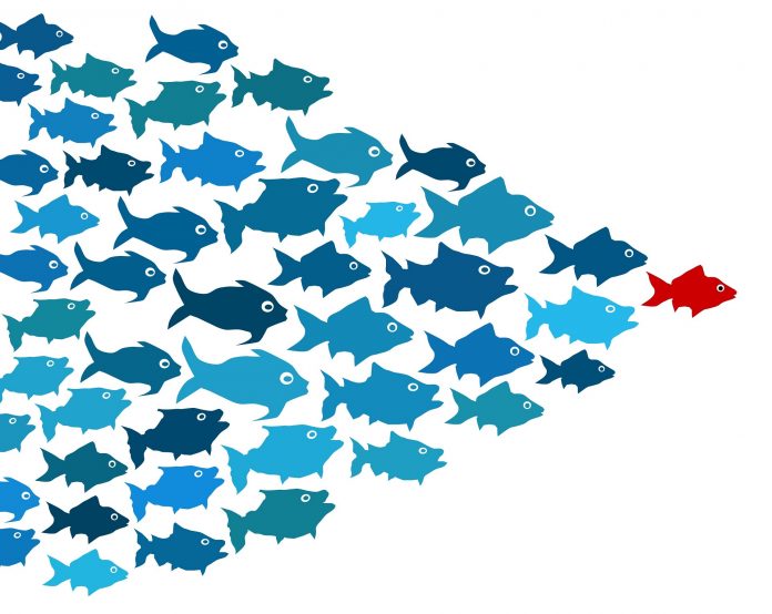 picture of a school of blue fish following a red fish