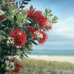 Pohutukawa tree red flowers on sandy beach