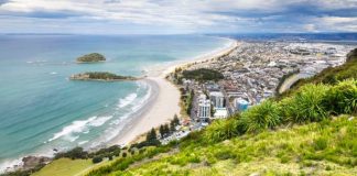 landlords tauranga