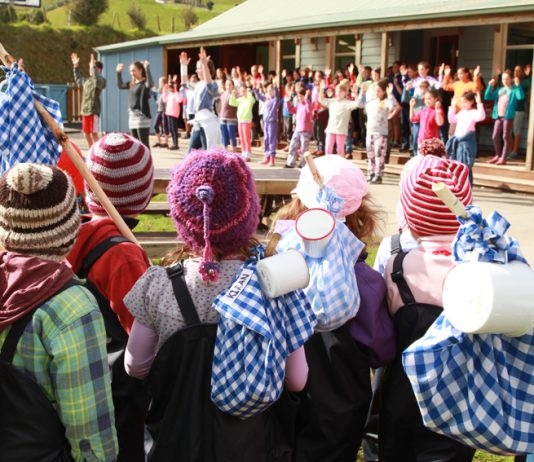 Just what is a State Integrated School?