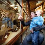 Otago museum