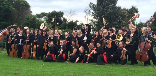 photograph of the Bay of Plenty Symphonia orchestra