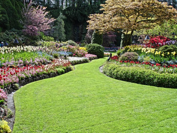 A picture of a garden with incredibly well done landscaping