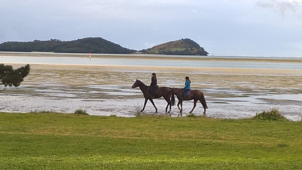 a photo of people riding horses on the beach at tuapiro