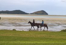 a photo of people riding horses on the beach at tuapiro