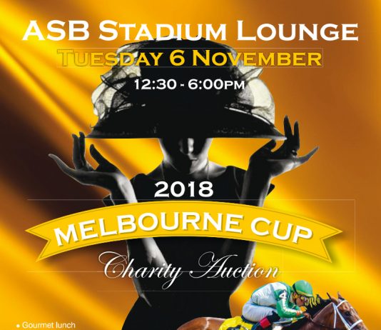 poster for the 2018 Melbourne cup race