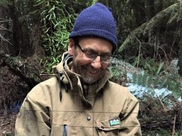 Western Bay of Plenty District Council Community relations Advisor Glenn Ayo captures a kōkako for banding and relocation to Ōtanewainuku Forest in Oropi.