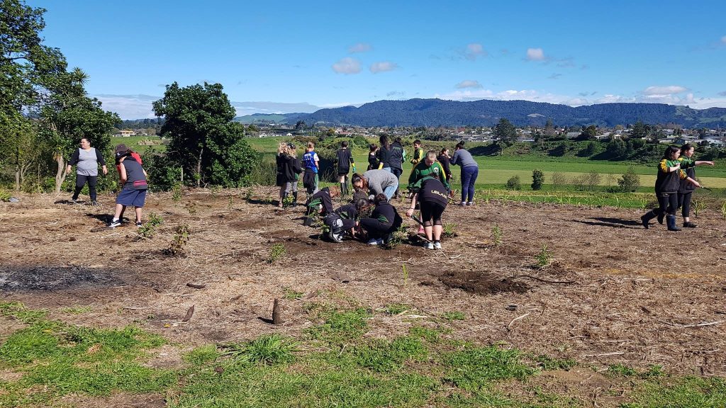 Te Puke school students lend a hand to clear the Te Kahika Pā site at Makahae Marae. Photo: Rangitawhai Rahiri