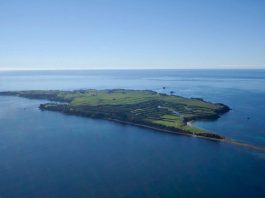 Aerial photograph of Motiti Island