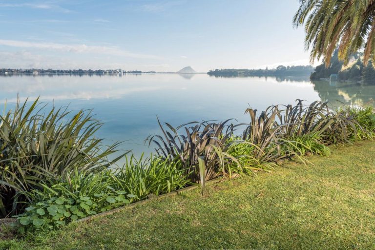 Transpower in Maungatapu