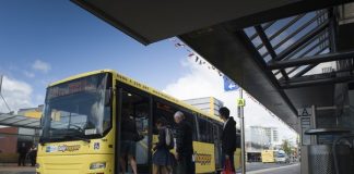 tauranga bus network