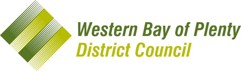 Council Puts Speed Review on Hold