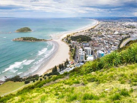 landlords tauranga