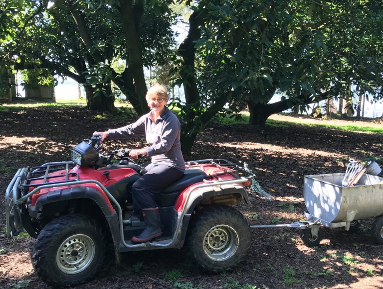 Bay of Plenty Regional Council Candidate Statement: Jenny Hobbs Bay of Plenty Regional Council Candidate Statement: Jenny Hobbs