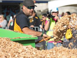 woodfest