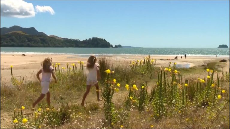 Closing the Gap Candidate Survey – Bay of Plenty Regional Council