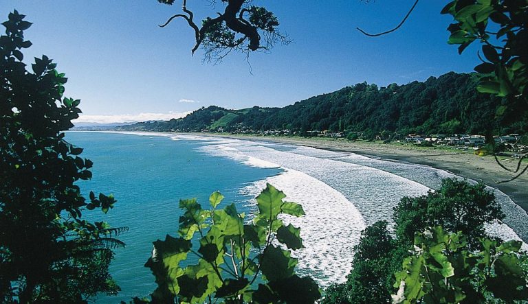 Closing the Gap Candidate Survey – Western Bay of Plenty District Council